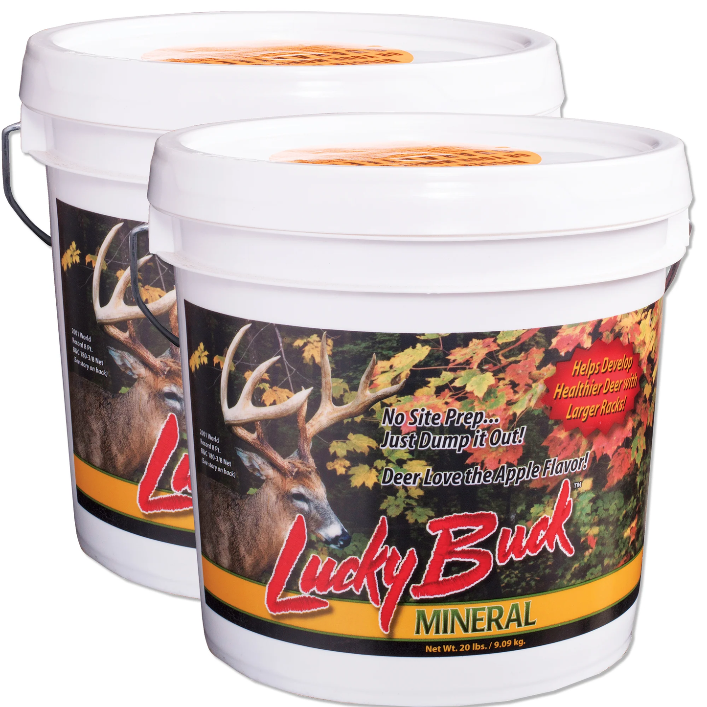 Lucky Buck Minerals 20lb Bucket