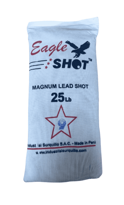 Eagle Shot #9