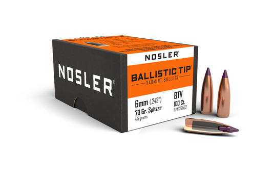 Nosler 6mm .243 70gr Ballistic Tip (100ct)