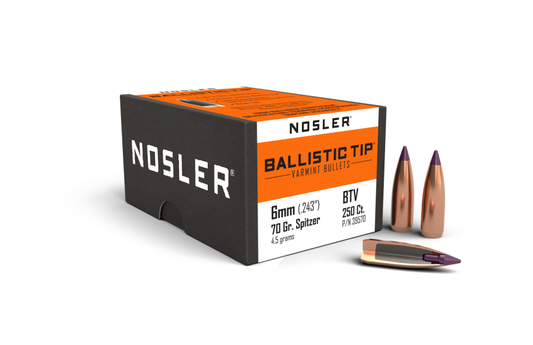 Nosler 6mm .243 70gr Ballistic Tip (250ct)
